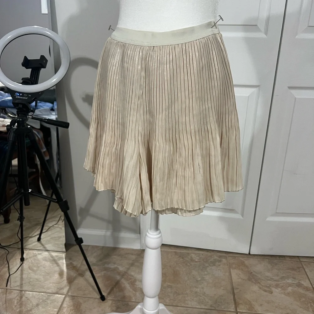 Free People Cream Skater Skork - Picture 4 of 10